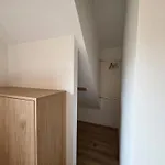 Stoeffler Haus 3 Apartment *
